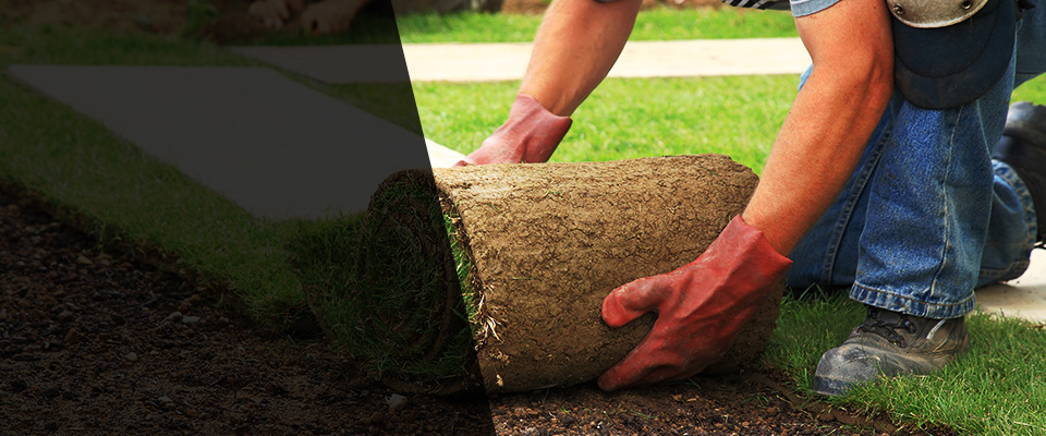 Conowingo Landscapers
